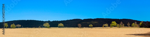 scenic Taunus landscape with forest, fields and alleys in beautiful light photo