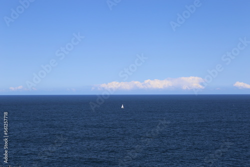Meer