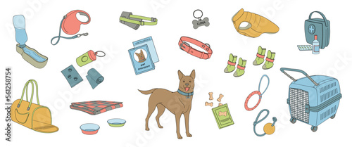 set elements about walk and travel  with pet, clothes, shoes, toys, biscuits, carrying bag, portable water bowl, collar, leash, pet passport