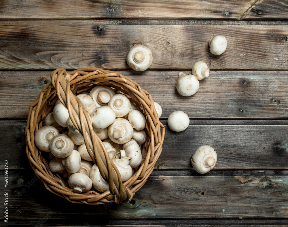 Fresh mushrooms in the basket. Fresh mushrooms in the basket.
