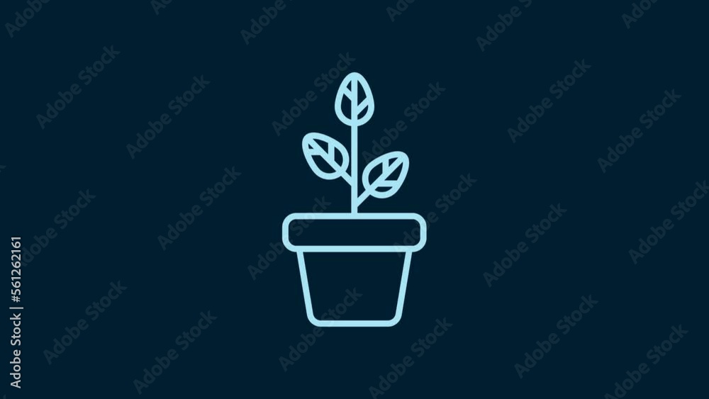 White Flowers in pot icon isolated on blue background. Plant growing in a pot. Potted plant sign. 4K Video motion graphic animation White Flowers in pot icon isolated on blue background. Plant growing in a pot. Potted plant sign. 4K Video motion graphic animation