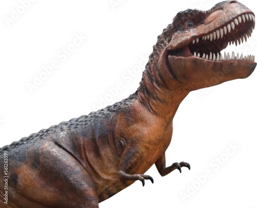 Fototapeta na wymiar Tyrannosaurus Rex dinosaur