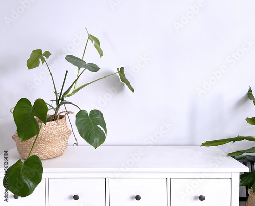A young monster in a basket on a white chest of drawers against a gray wall in the interior.