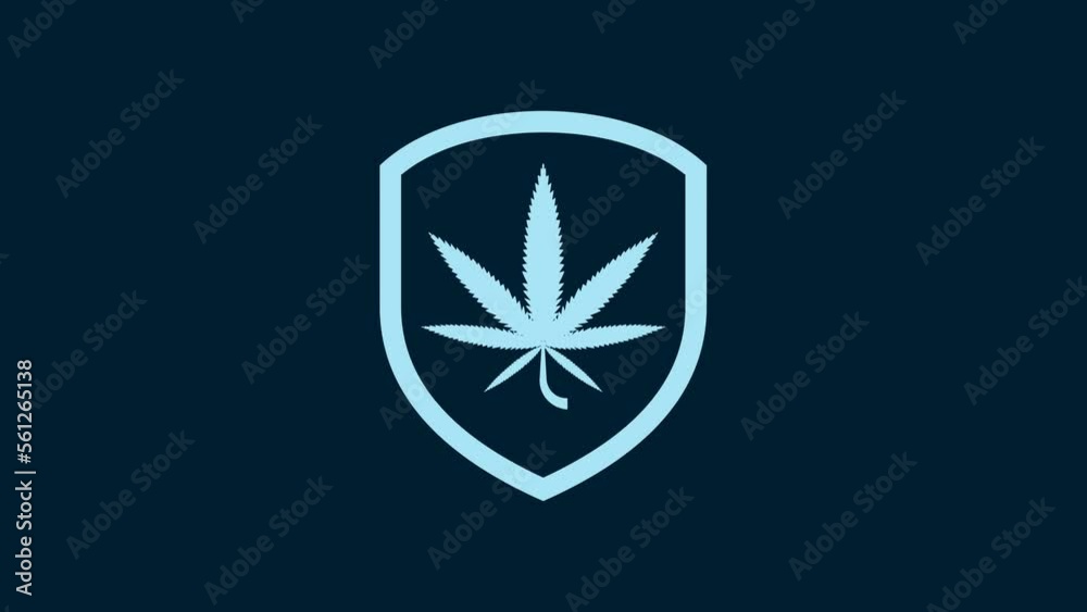 White Shield and marijuana or cannabis leaf icon isolated on blue background. Marijuana legalization. Hemp symbol. 4K Video motion graphic animation White Shield and marijuana or cannabis leaf icon isolated on blue background. Marijuana legalization. Hemp symbol. 4K Video motion graphic animation
