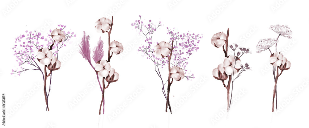 Pink flowers, cotton flower, bouqets. Png illustration with transparent background.