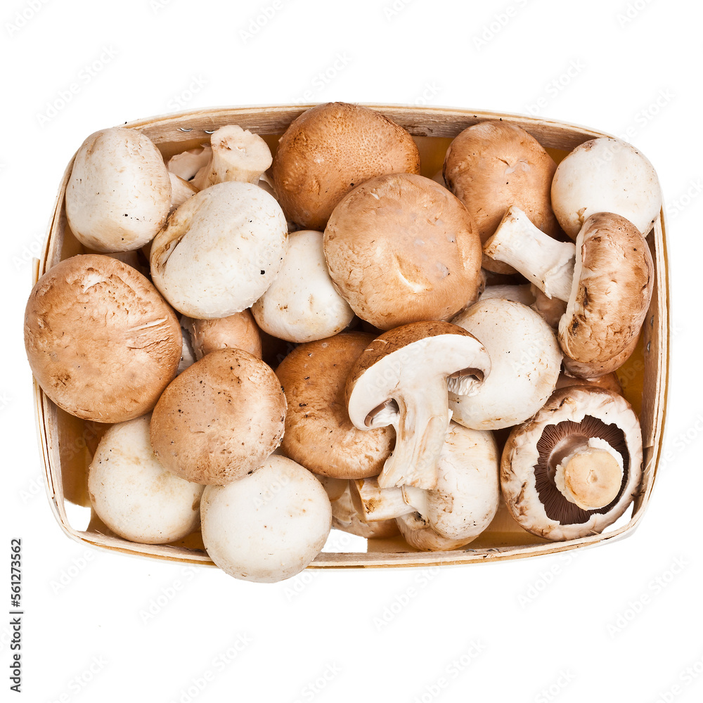 Top view of champignon mushrooms Top view of champignon mushrooms