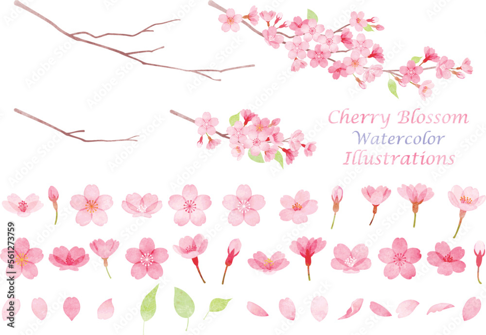 手描き水彩風　桜のイラスト素材セット