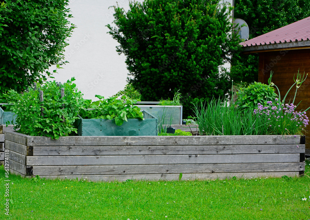 Naklejka premium podwyżsone grządki drewniane, ogród warzywny, ogród kuchenny, raised bed,
