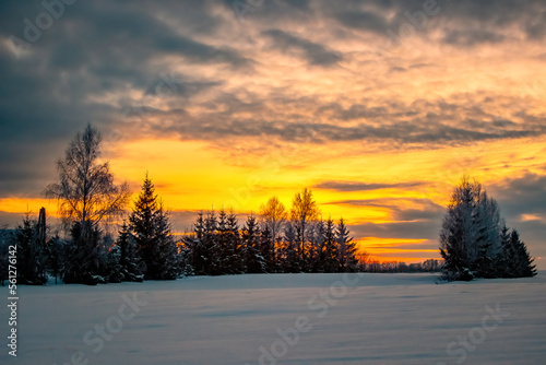 Winter sunset in December. Fields, single trees, yellow and orange sky. © Orbs