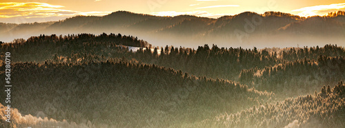 Misty landscape with mixed forest in warm sunlight of sunset