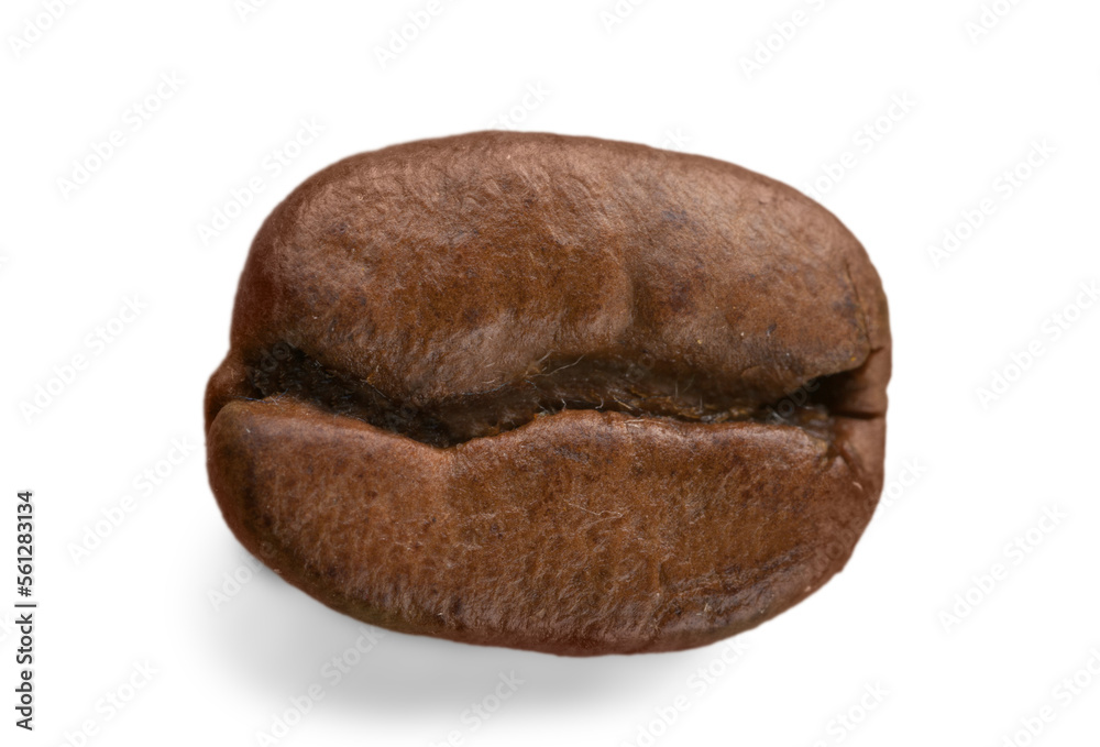 One Brazilian black coffee beans One Brazilian black coffee beans