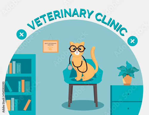 veterinary clinic cat doctor