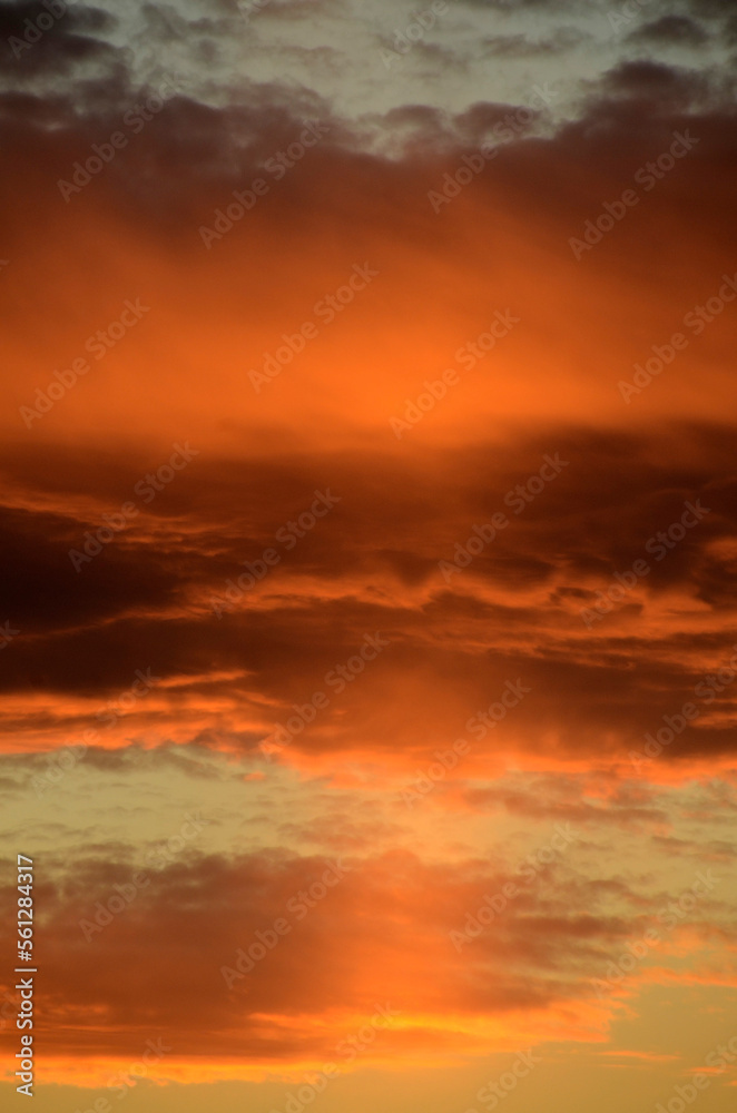 Obraz premium 夕暮れの雲