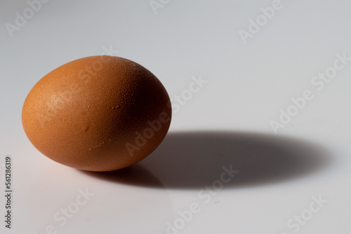 sunlit egg so that it casts a black shadow behind it