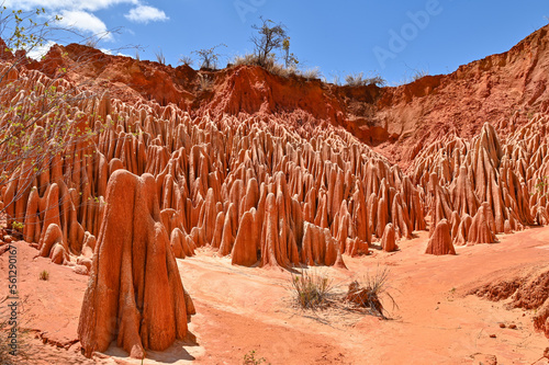 Red Tsingy – Tsingy Rouge - near Diego Suarez, Madagascar