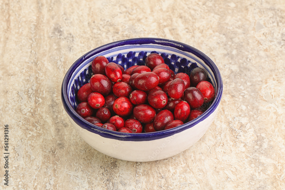 Ripe sweet tasty cranberry in the bowl Ripe sweet tasty cranberry in the bowl