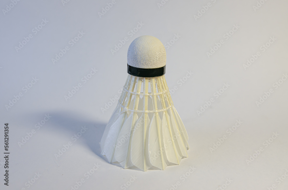 shuttlecock on a white background