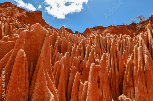 Red Tsingy – Tsingy Rouge - near Diego Suarez, Madagascar photo
