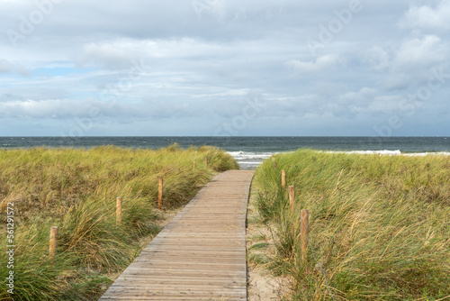 D  nenweg an den Ostseestrand im Seebad Rerik  Mecklenburg-Vorpommern