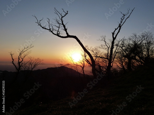 山中の朝焼け、丹沢の登山道から見た日の出