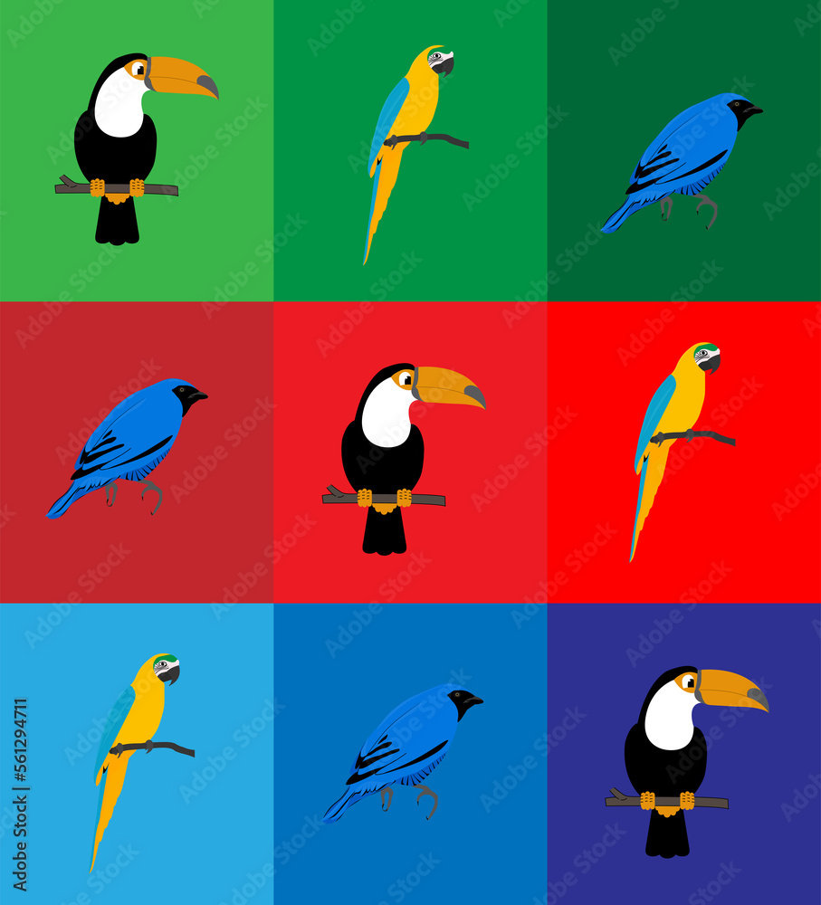 Fototapeta premium Amazonia - Rainforest Animals