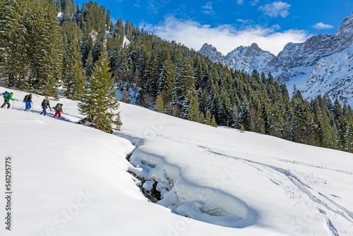 Foto Kleinwalsertal - Baad - Tourengänger - Skitour - Winterschuhe - Schnee - Wald