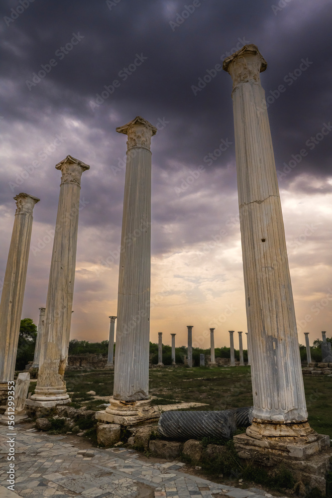 Remains of the City of Salamis…