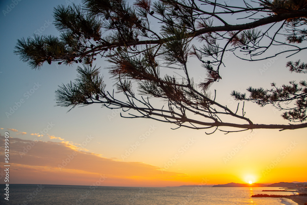 高知県桂浜の龍王宮から眺める美しい夕暮れの風景