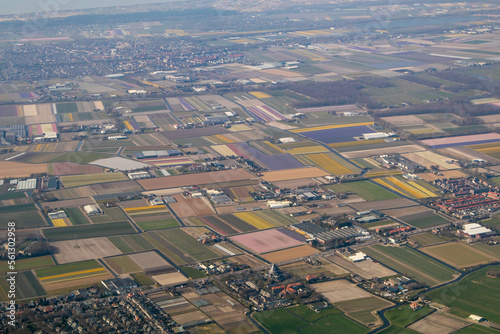 Dutch flower bulb fields seen from airplane, overview.
