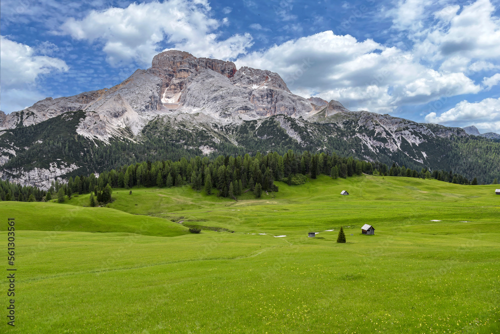 Plätzwiese mit Berg Hohe Gaisl in den Dolomiten / Südtirol Plätzwiese mit Berg Hohe Gaisl in den Dolomiten / Südtirol