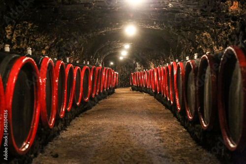 Traditional cellar near Tokaj