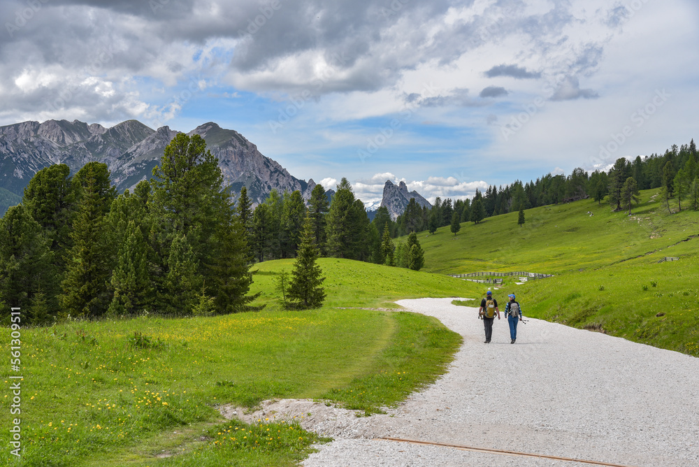 Wanderweg an der Plätzwiese in den Dolomiten in Südtirol Wanderweg an der Plätzwiese in den Dolomiten in Südtirol