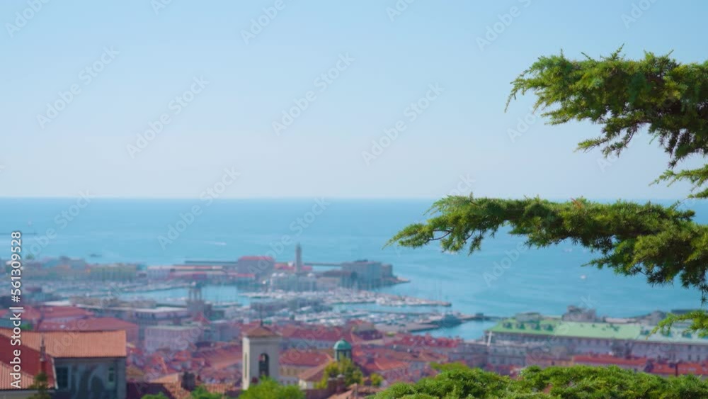 Panorama of historical town on beach of boundless blue sea with modern port buildings opening behind green pine tree in Trieste Panorama of historical town on beach of boundless blue sea with modern port buildings opening behind green pine tree in Trieste