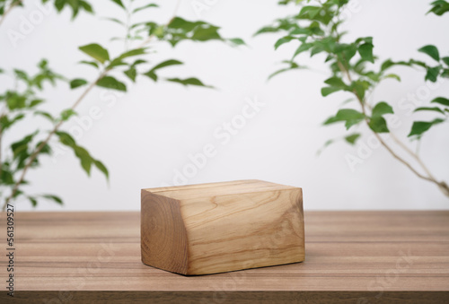 Fototapeta Naklejka Na Ścianę i Meble -  empty wooden podium texture on tabletop with tree branch fresh green leaf white space background.organic healthy natural product pedestal platform promotion show display,spring banner concept design.