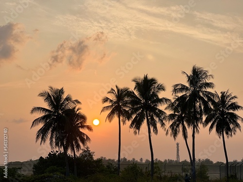 Sunset view of sky and sea. Clouds and ocean, palm trees, Maldives, Kulhudhuffushi city, birds