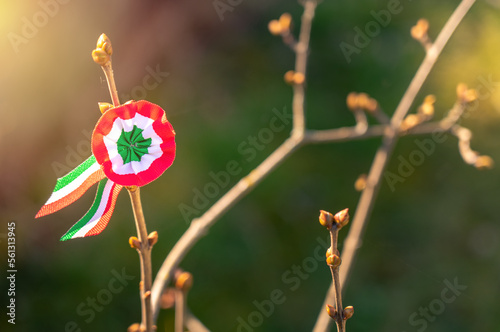Hungarian spirit on national holiday 15th march with rosette pin and sunlight photo