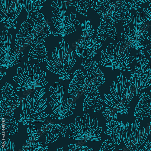 Modern line seashells, Seamless pattern