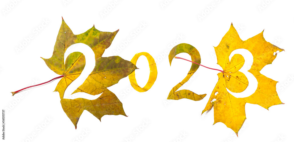 2023 numbers carved from yellow maple leaves 2023 numbers carved from yellow maple leaves