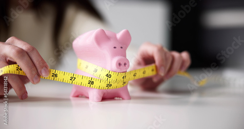 Tight Savings Piggy Bank Measurement