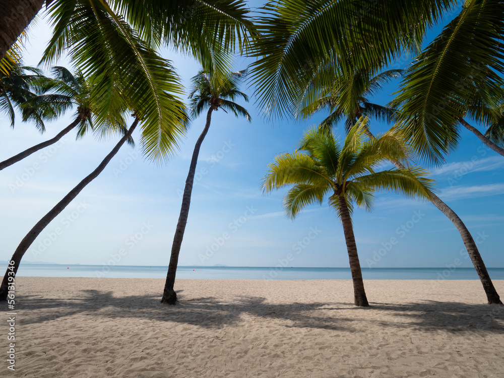 Obraz premium Bang Saen a famous beach of Chonburi, Thailand feel relax and peaceful of white sand and coconut tree view on bright and sunshine day.