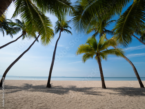 Bang Saen a famous beach of Chonburi, Thailand feel relax and peaceful of white sand and coconut tree view on bright and sunshine day.