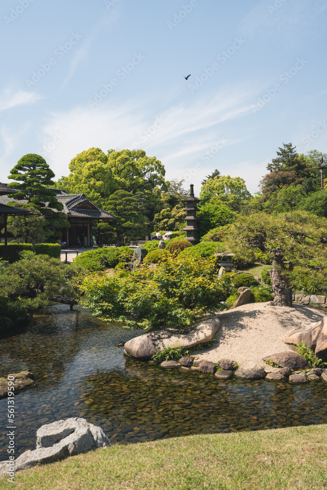 Beautiful Serene Japanese Garden Background during Sunny Weather