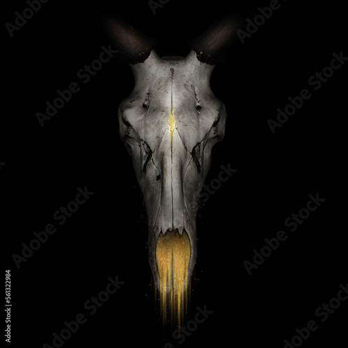 Skull of an ancient dead Deer with broken antlers on the dark  background with gold dust, template