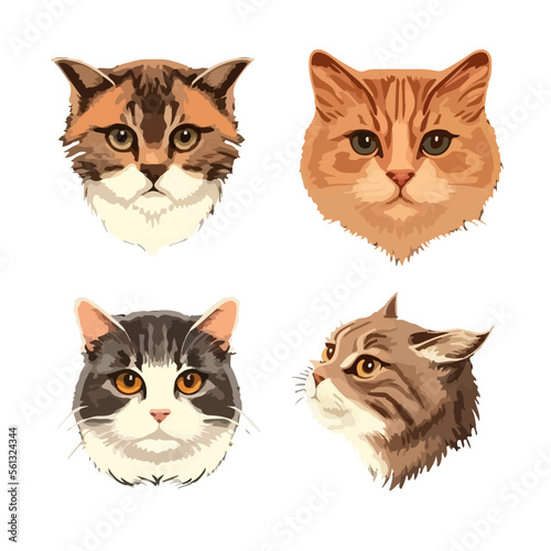 Realistic Cat Faces Vector Set