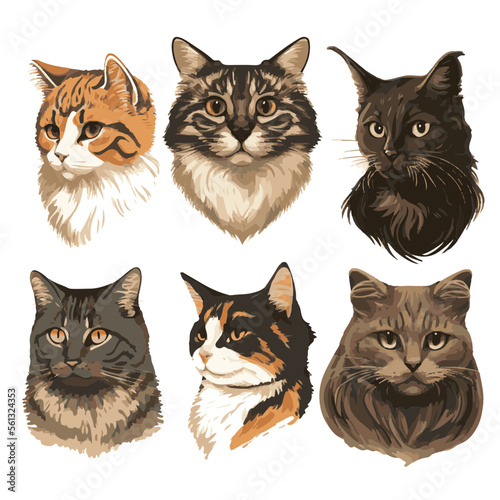 Realistic Cat Faces Vector Set