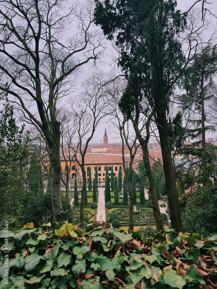 Obraz premium royal garden