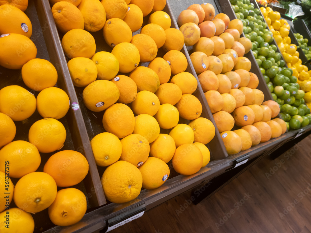 Naval oranges on display in a grocery store. Limes and lemons can be seen in the background