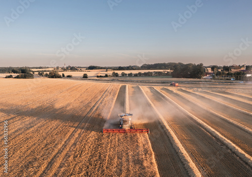 Obraz na płótnie Agriculture: Panoramic aerial landscape view of combine harvester working in the wheat field w salonie