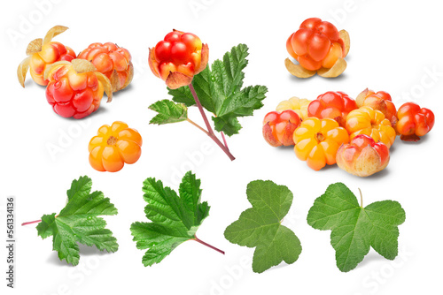 Set of cloudberries (Rubus Chamaemorus) and leaves isolated png