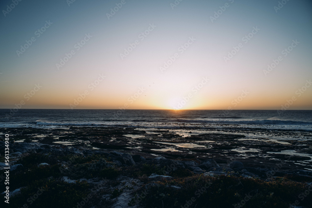 Fototapeta premium Cape Town, nature, sand, animals, landscape, ocean, water, mountains, rock